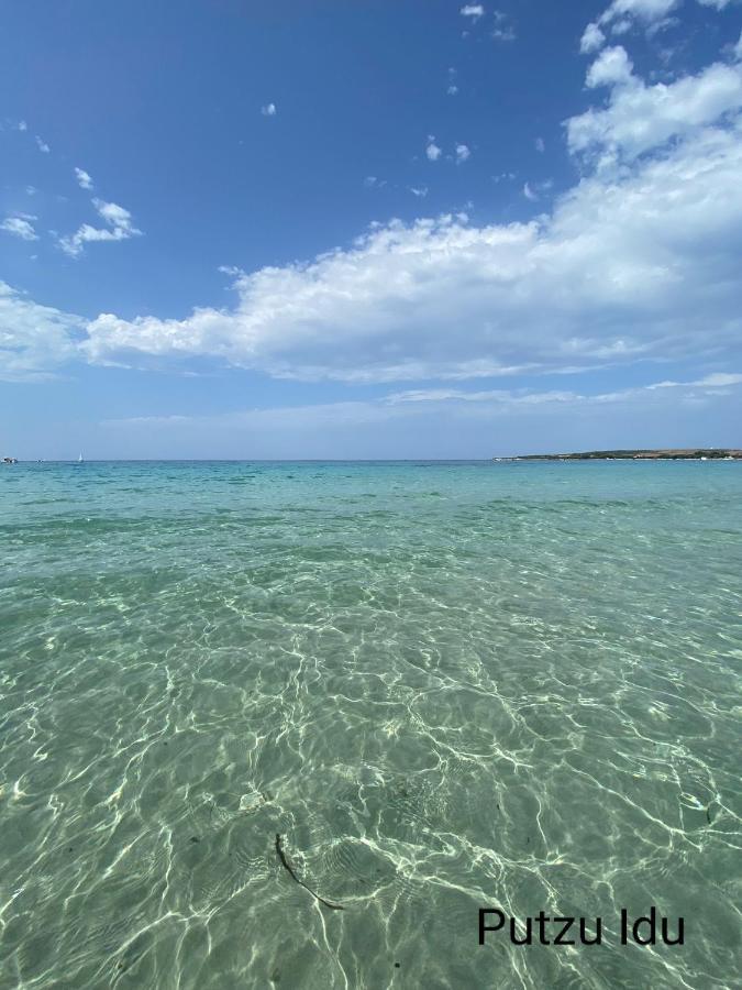 Alabe Hotel Marina Di Трезнурагес Экстерьер фото